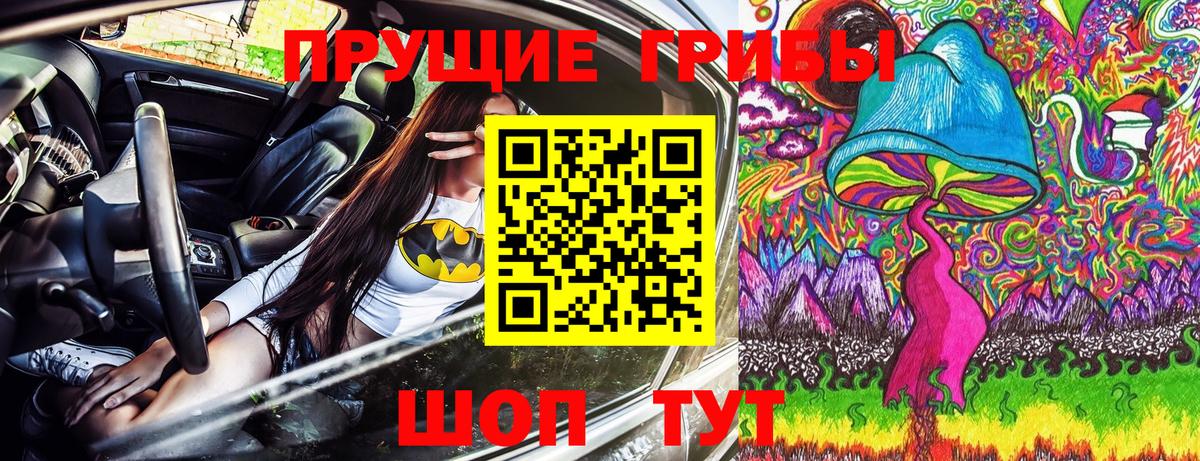 Псилоцибиновые грибы Psilocybine cubensis Нижнекамск